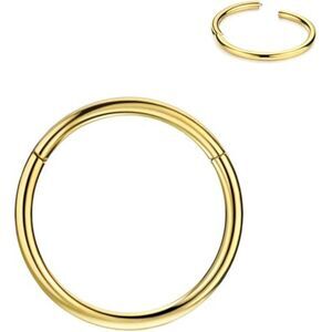 FANSING 316L Surgical Steel Hinged Nose Rings Hoop for Men and Women Piercings